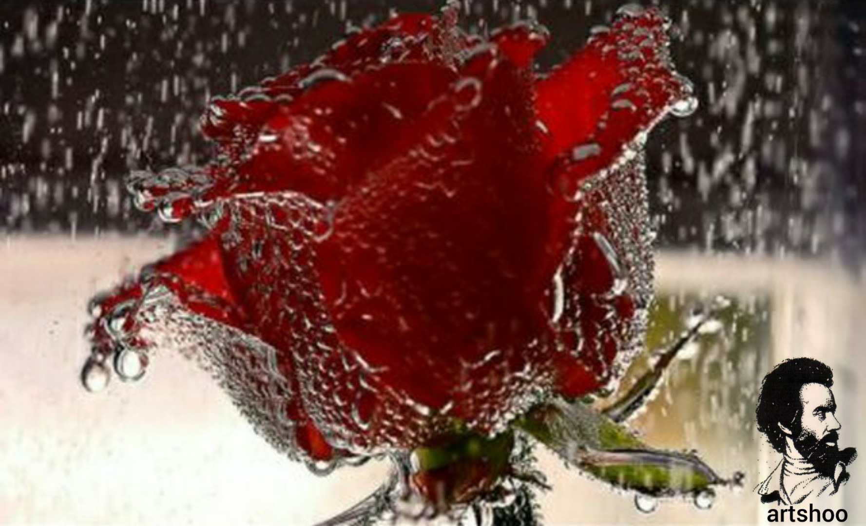 مدل رنگ روغن آب اورژینال